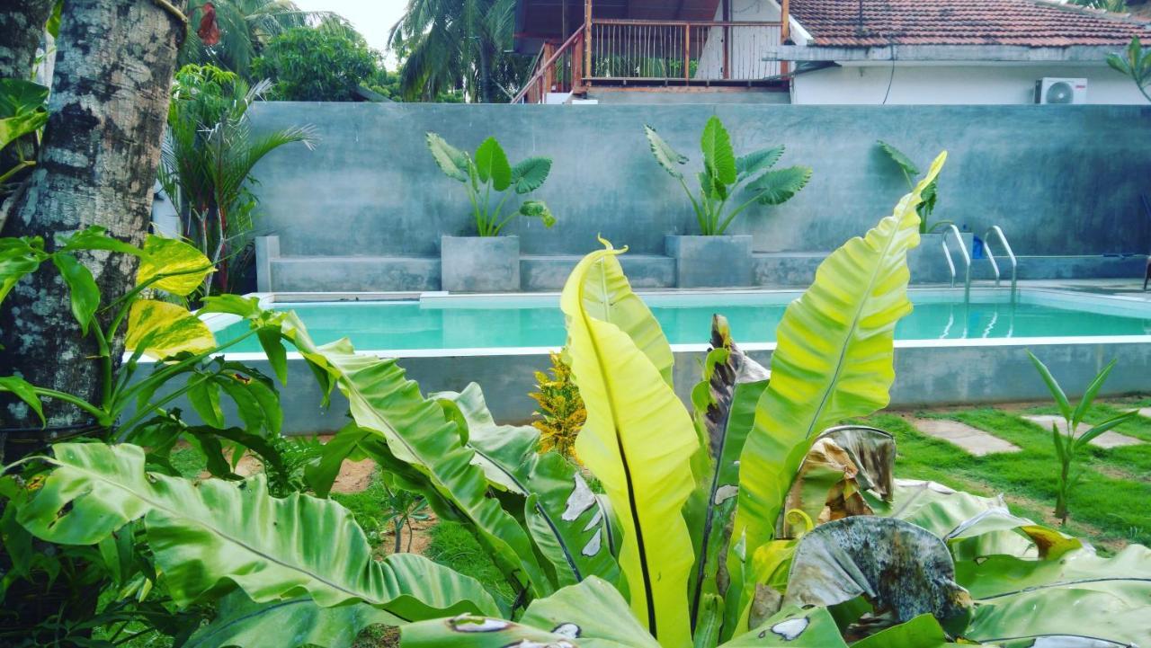 Surf Gangs Arugambay Hotel Arugam Bay Luaran gambar