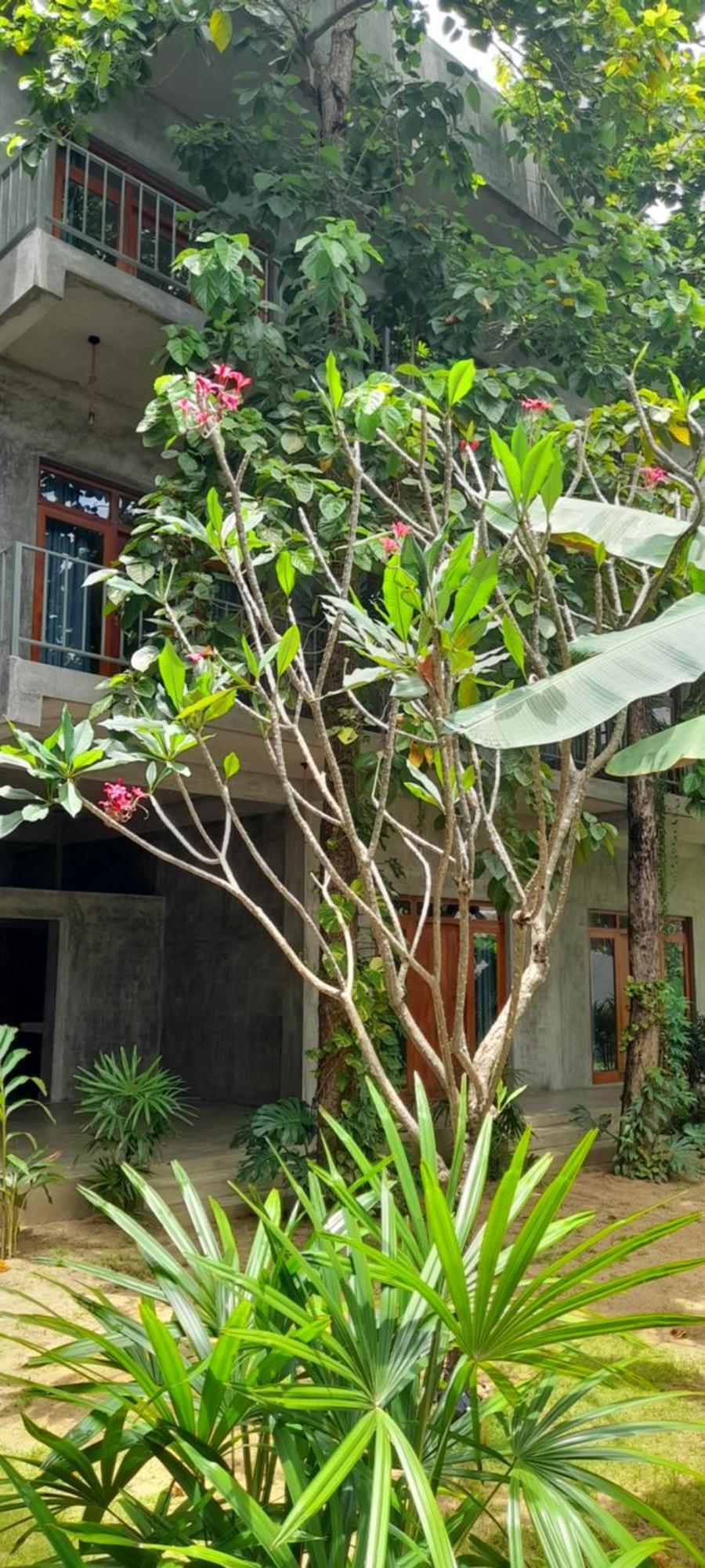 Surf Gangs Arugambay Hotel Arugam Bay Luaran gambar
